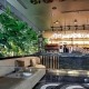 دکوراسیون داخلی سبز رستوران سنسو