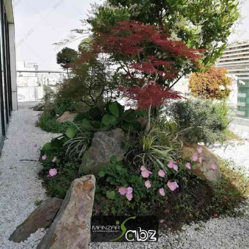 عکسی از پروژه تراس سبز باغ ژاپنی ملاصدرا در خال نمایش گیاهان بیرون پروژه