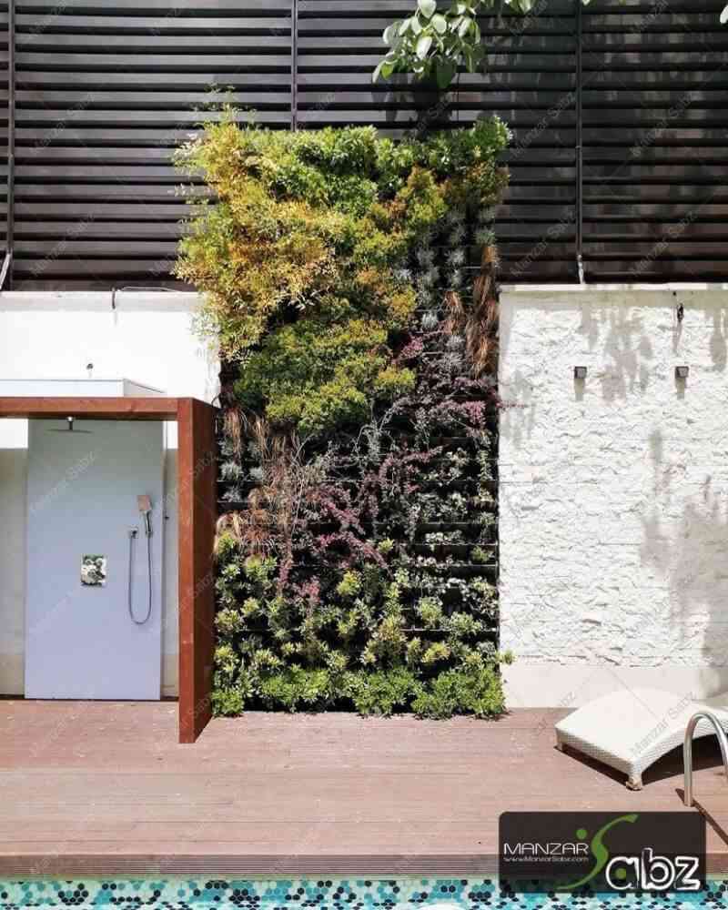 عکسی از پروژه دیوار سبز درکه در حال نمایش گیاهان پروژه