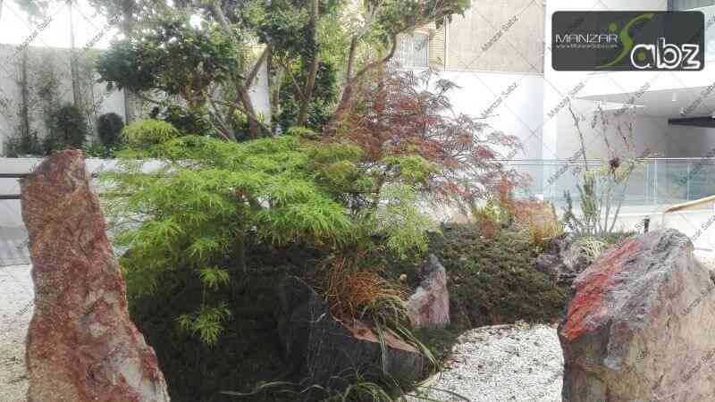 عکسی از پروژه محوطه آرایی ویلا رز ایوانک - باغ ژاپنی در نمایش گیاهان در پروژه