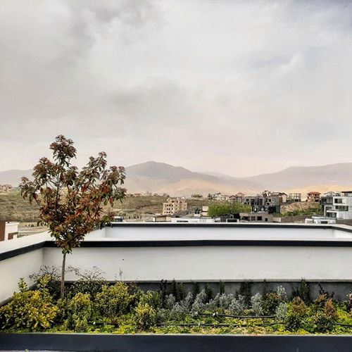 نمای پوشش گیاهی روف گاردن