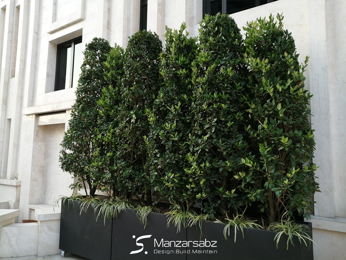 فلاور باکس فلزی و سفارشی: راه حل مدرن و تخصصی برای پروژه های ساختمانی