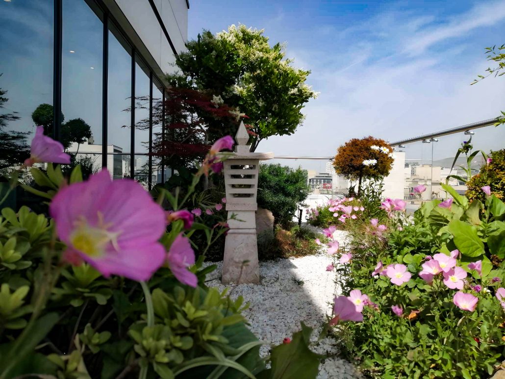 نمونه تراس سبز شیرین