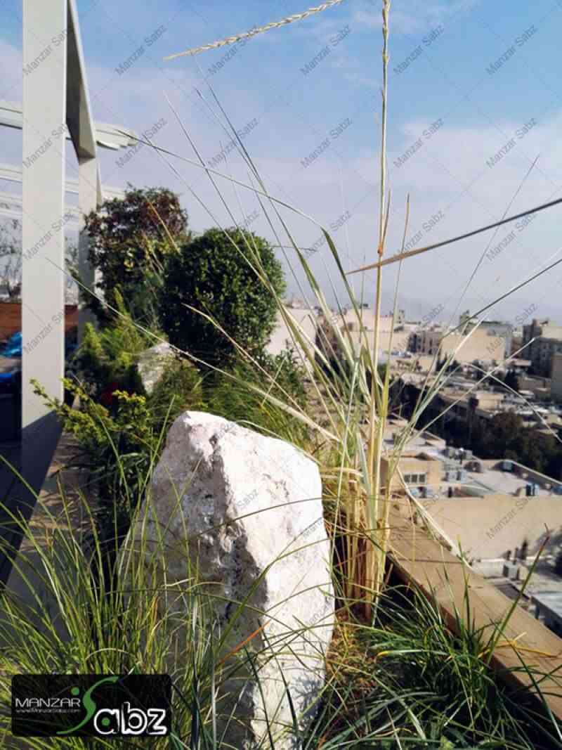 عکسی از پروژه خانه سام پاسداران (دکوراسیون و تراس سبز) در نمایش از گیاهان بیرون پروژه