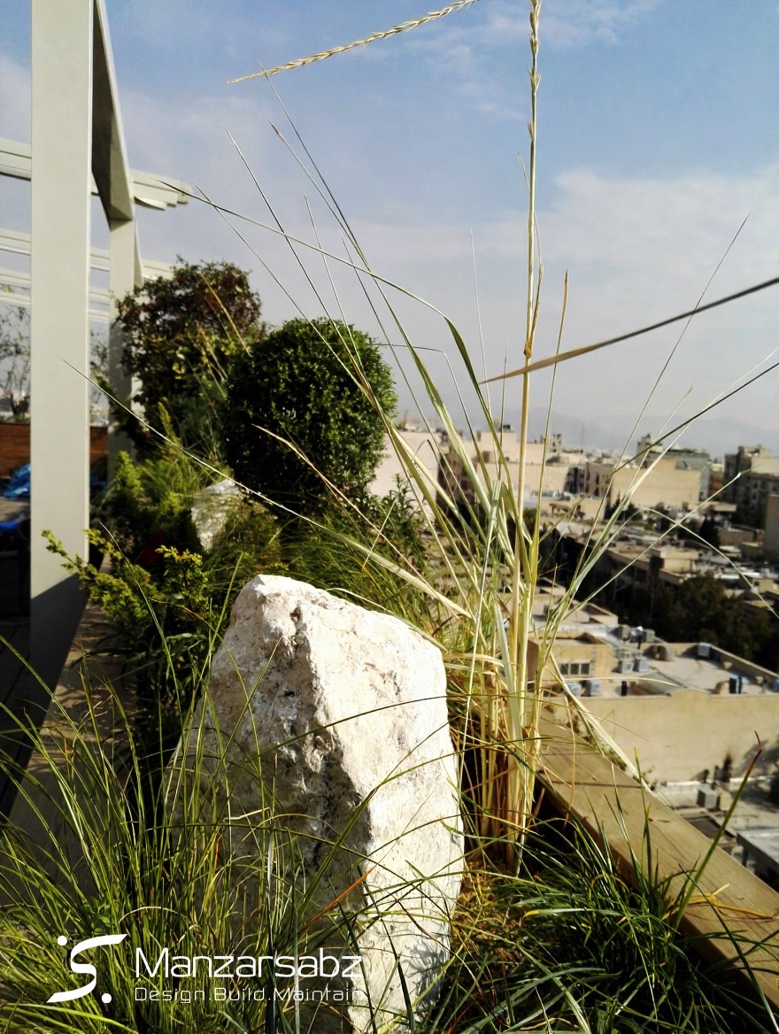 تراس-سام-بعد