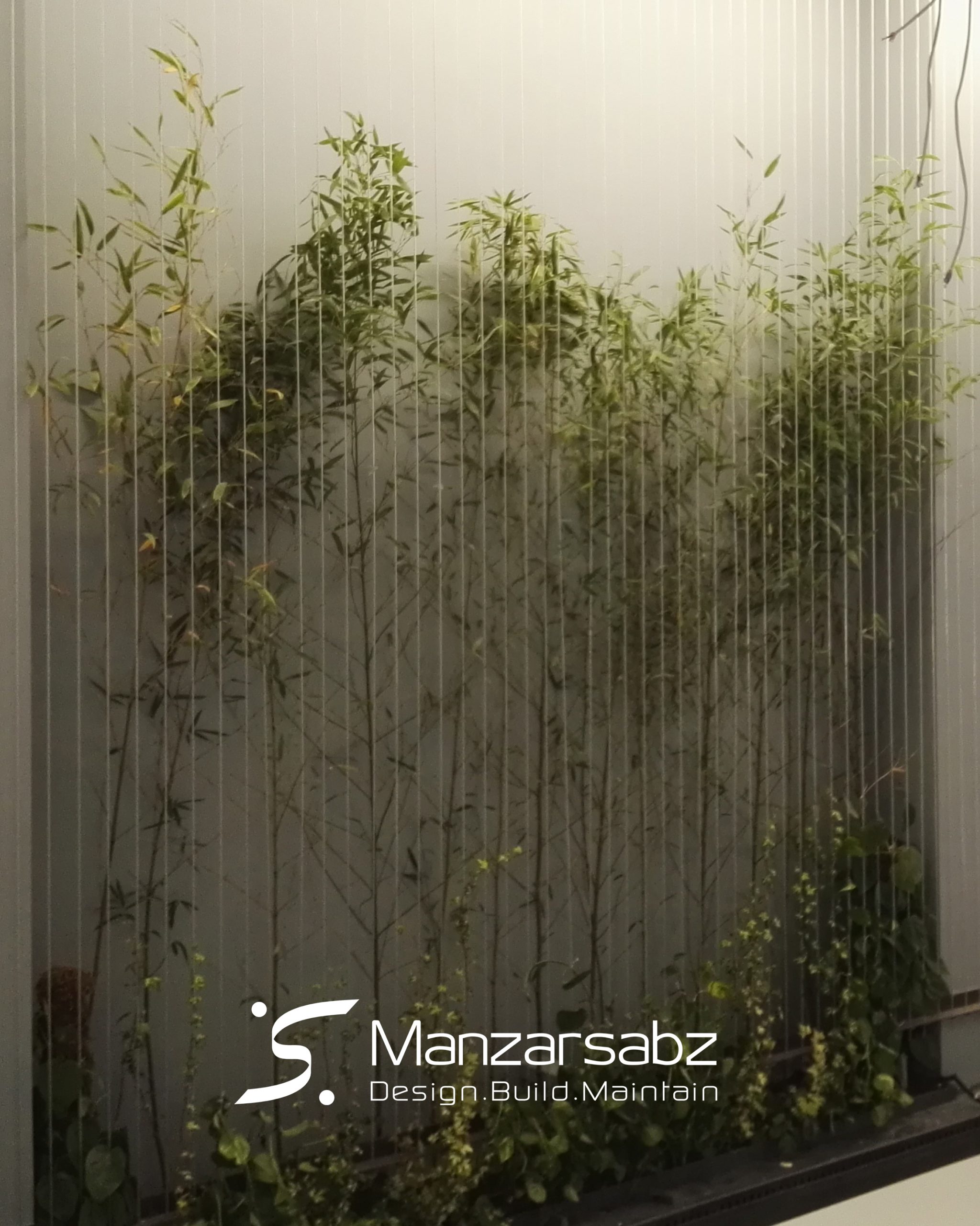 دیوار سبز چهل باغ بعد