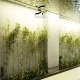 عکس نمونه کار پروژه دیوار سبز چهل باغ
