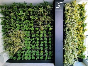 دیوار سبز گیشا