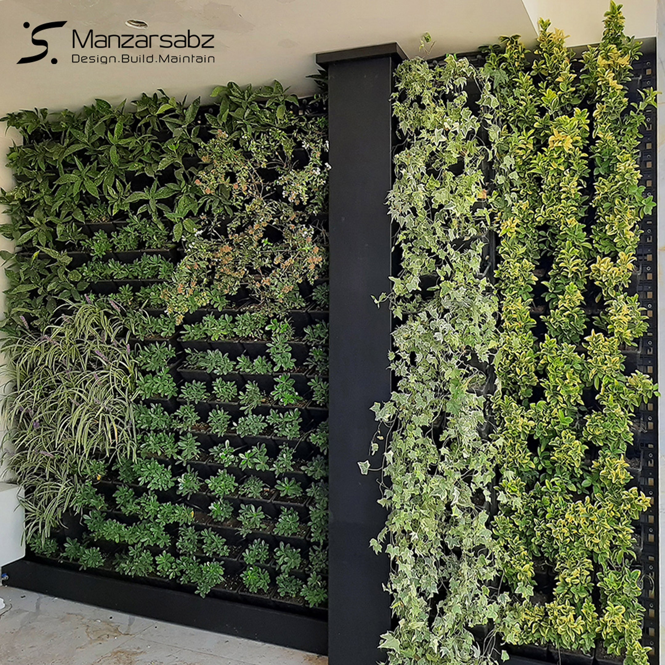 دیوار-سبز-گیشا-یعد