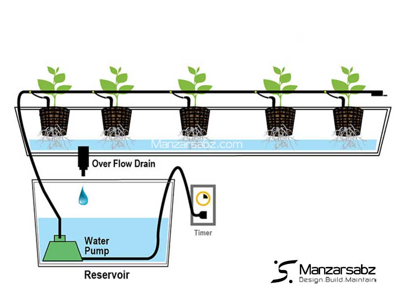 روش های رایج آبیاری در دیواره های هیدروپونیک 