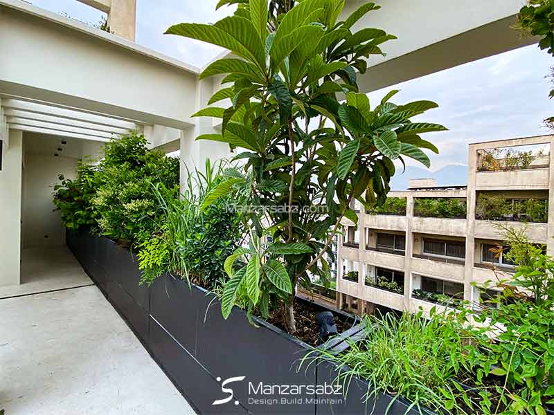 فلاورباکس در روف گاردن