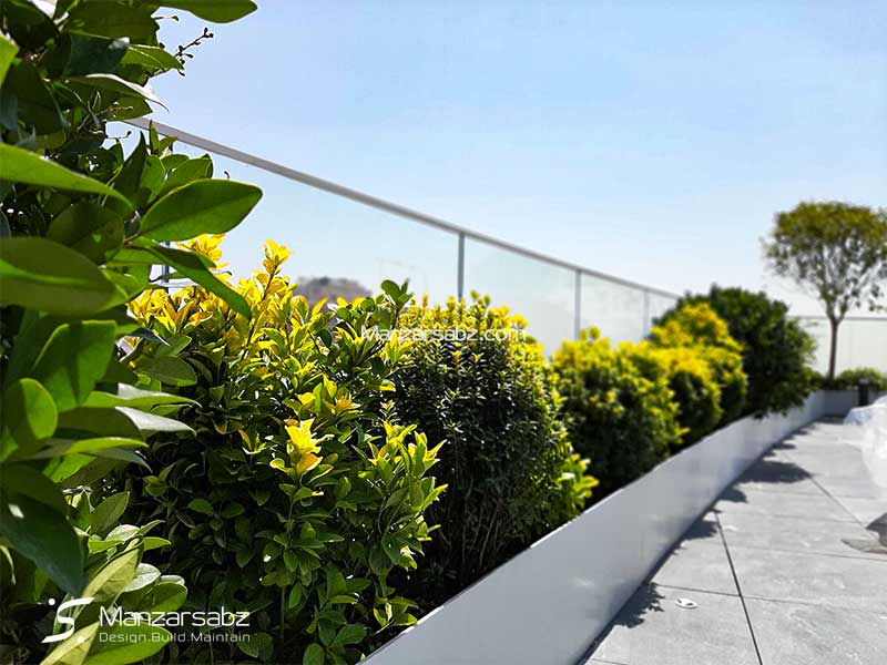 طراحی تراس سبز