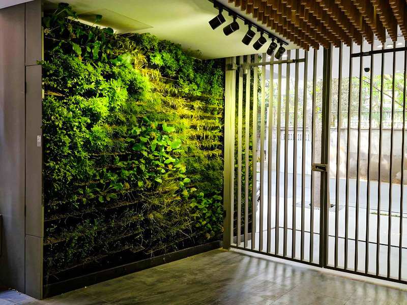 اجرای دیوار سبز و گرین وال