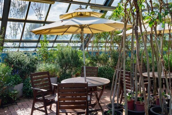 میز و صندلی در سان روف گاردن