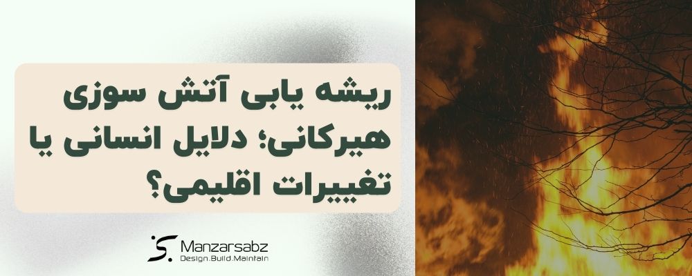 ریشه یابی آتش سوزی هیرکانی؛ دلایل انسانی یا تغییرات اقلیمی؟