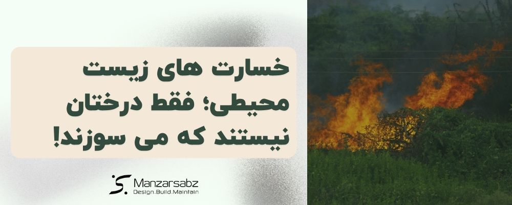 خسارت های زیست محیطی؛ فقط درختان نیستند که می سوزند!