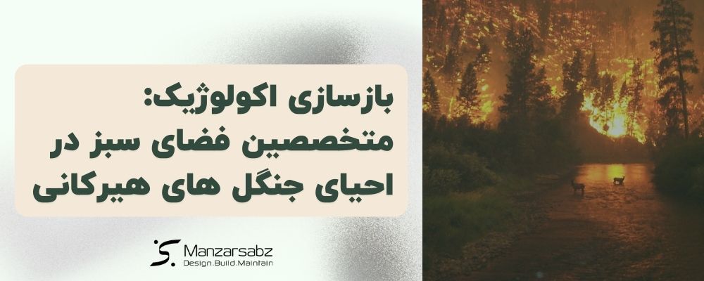بازسازی اکولوژیک: نقش متخصصین منظر سبز در احیای جنگل های هیرکانی