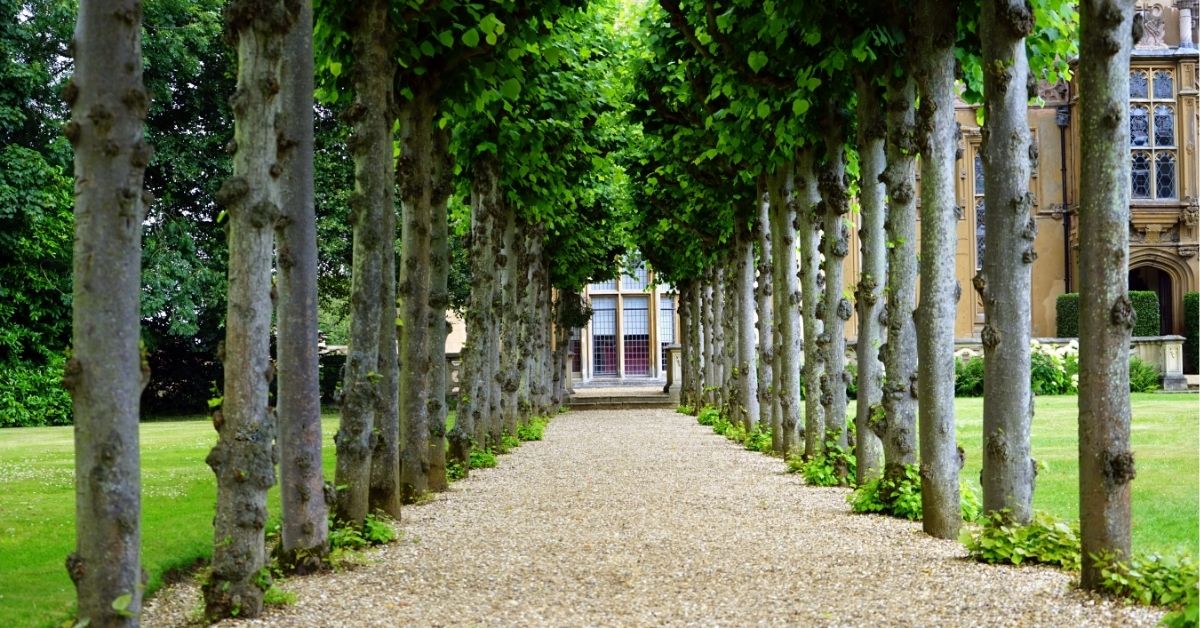 راهنمای جامع ایده محوطه سازی باغ: اصول طراحی، سبک‌ها و اجرای حرفه‌ای