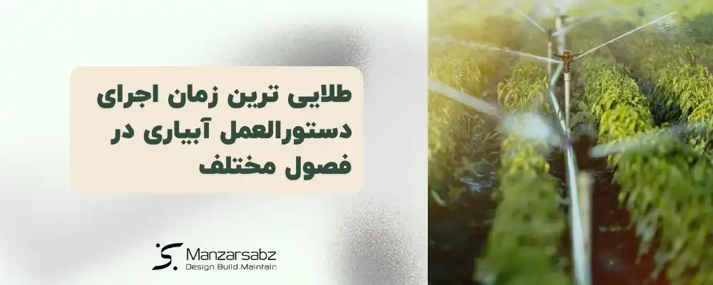 طلایی ترین زمان اجرای دستورالعمل آبیاری در فصول مختلف