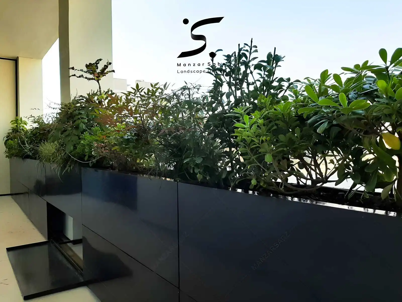 اصول انتخاب گیاهان ماندگار بر اساس اقلیم و جهت گیری بالکن سبز