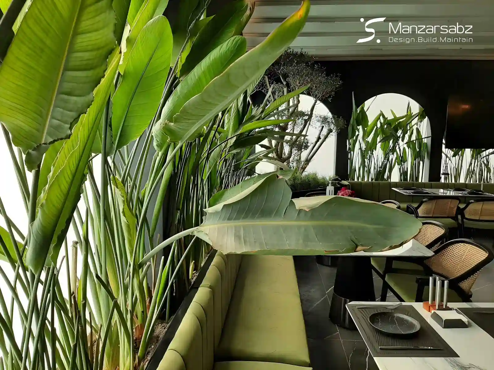 مزایای پنهان: چرا به فضای سبز داخلی نیاز داریم؟