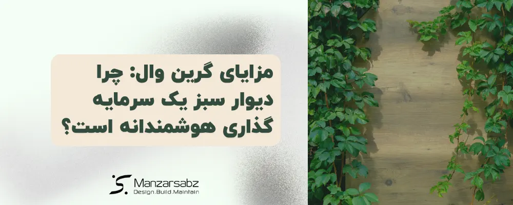 مزایای گرین وال: چرا دیوار سبز یک سرمایه گذاری هوشمندانه است؟