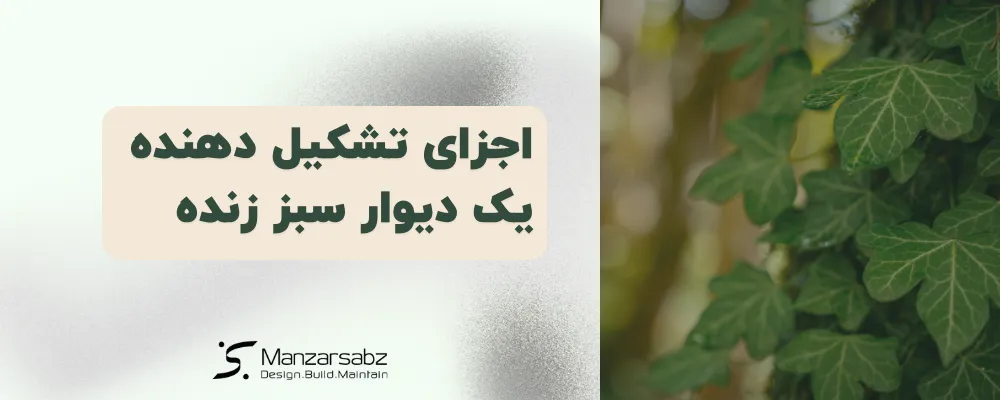 اجزای تشکیل دهنده یک دیوار سبز زنده