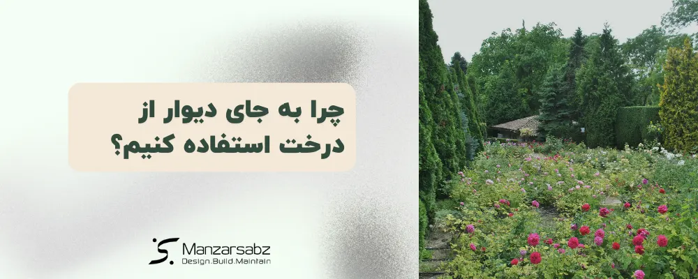 چرا به جای دیوار از درخت استفاده کنیم؟