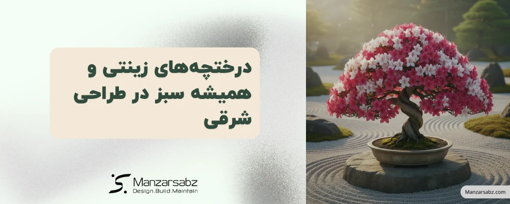 درختچه‌های زینتی و همیشه سبز در طراحی شرقی