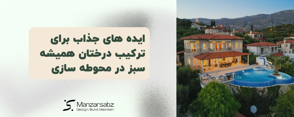 ایده های جذاب برای ترکیب درختان همیشه سبز در محوطه سازی