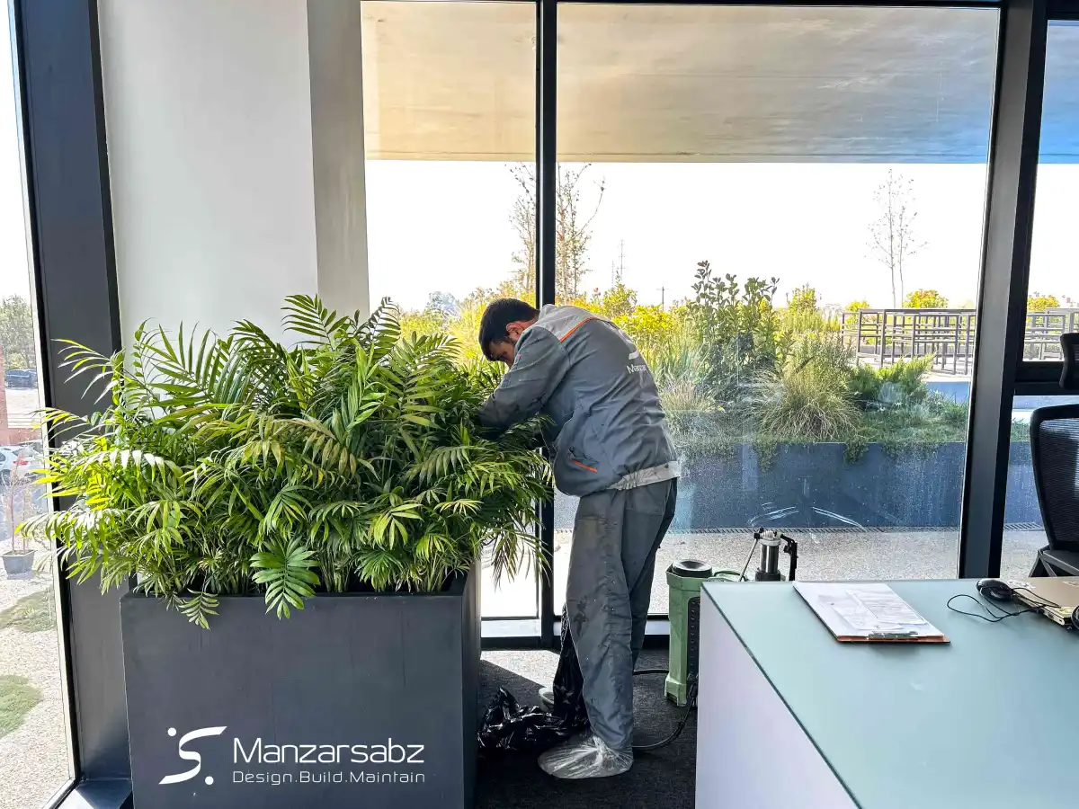 نگهداری فضای سبز تضمینی در تهران و حومه