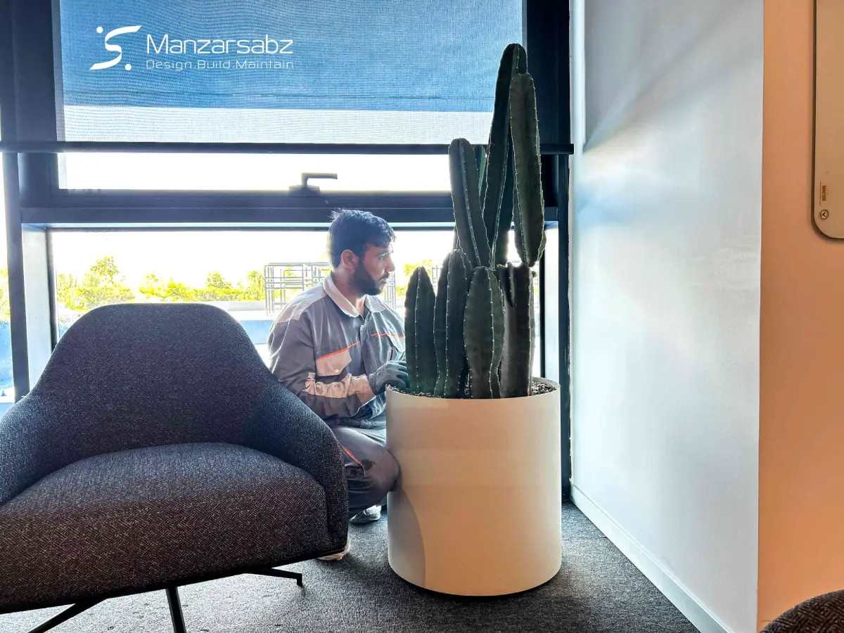 چرا سپردن نگهداری فضای سبز به متخصص، یک ضرورت است؟